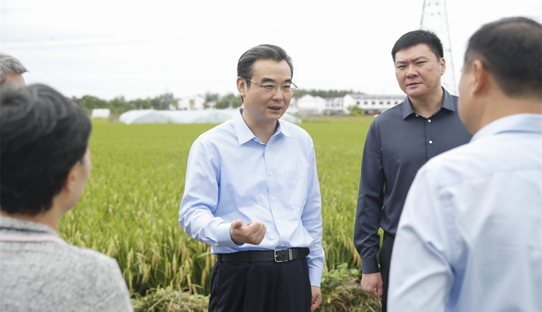 市領導調研生態(tài)農(nóng)業(yè)和高標準農(nóng)田建設工作